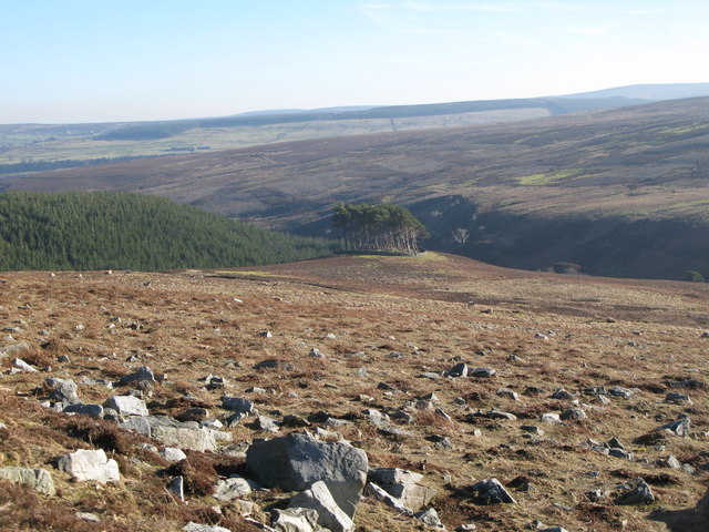 Moorland below Hill 402