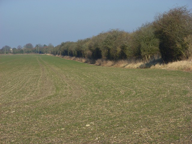 Farmland, Chiseldon