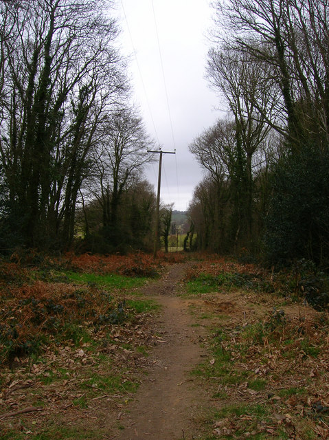 Footpath, Freehold Wood