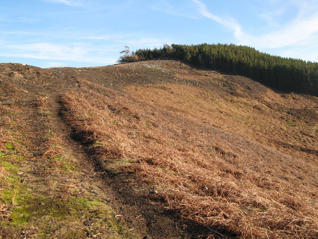 Track and moorland north of Beldon End Plantation