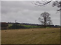 Sorrowlessfield, Scottish Borders