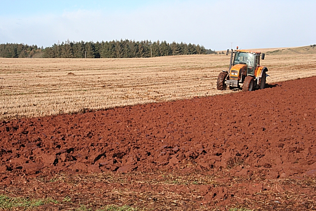 Ploughing the Red Earth