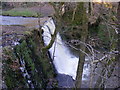 Waterfall on Naden Brook