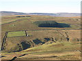 NY9040 : The cleugh of Middlehope Burn by Mike Quinn