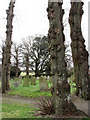 The church of St Peter & St Paul - churchyard