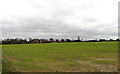 View across cereal field