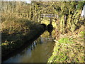 Clasford Brook at Tickner