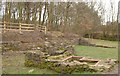 Windmill Colliery Ruins