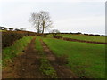 Fields off the Ballyhay Road, near Donaghadee