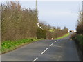 Moss Road, near Millisle