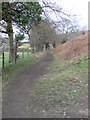 Footpath to Castell Dinas Br