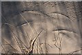 NJ2469 : Sand Patterns by Anne Burgess