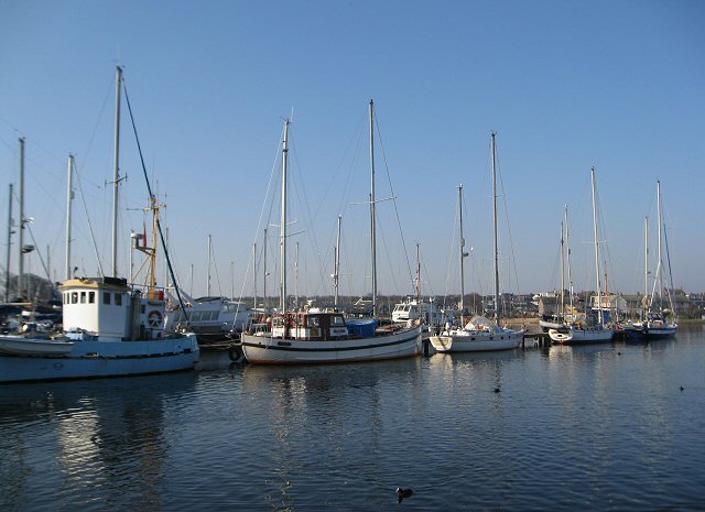 Boats moored at the Marina