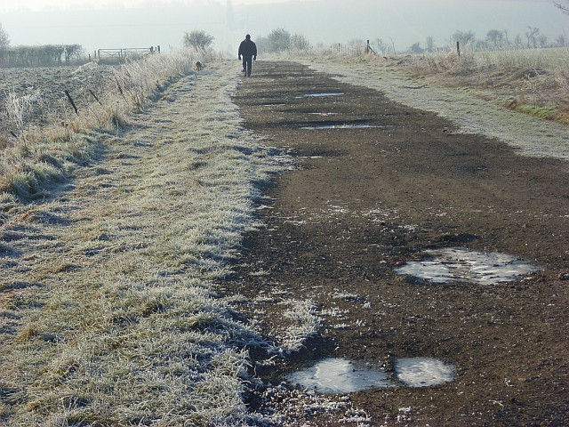 Farm track, Lockinge