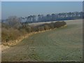 Farmland, Lockinge