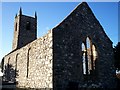 J1647 : Ruins of Church, Kilmacrew Road, Banbridge by P Flannagan