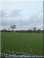 View across fields to East Highberries Farm