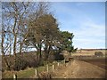 Farm road, Ardblair