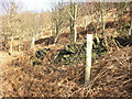 Boundary wall of Storth Wood, Elland