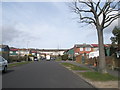 Looking up Woofferton towards Portsdown Hill