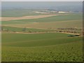 Farmland on the downs above Sparsholt