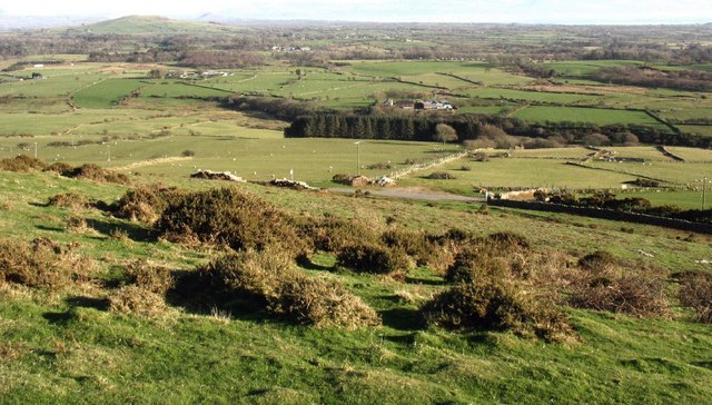 The lower southern slope of Mynydd Carnguwch