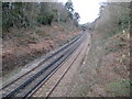 Witley: Railway line to Milford