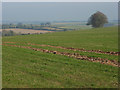 Farmland, Shrewton