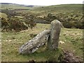 Granite posts, Fowey valley