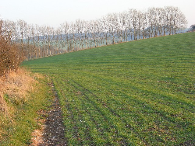 Farmland above Chitterne
