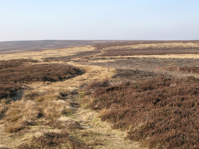 The Carriers' Way on Riddlehamhope Fell