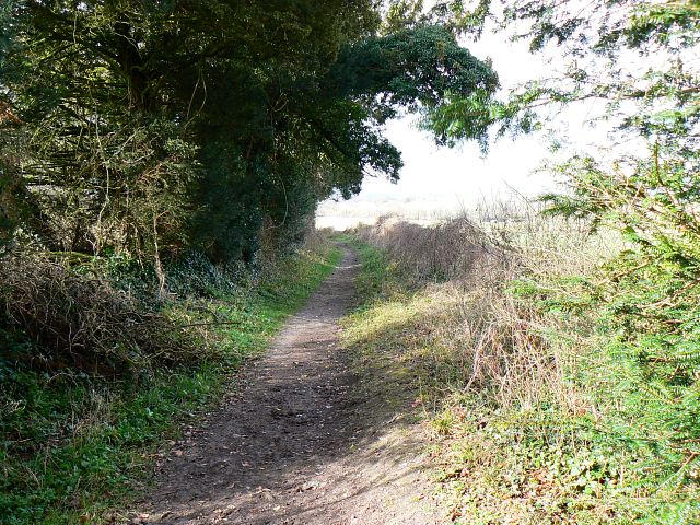 Monarch's Way long distance path, near Morestead