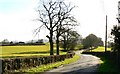 Ridge Common Lane, near Petersfield