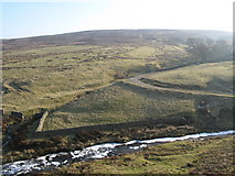 NY9049 : Beldon Burn and the cleugh of Heathery Burn by Mike Quinn