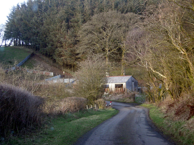 Sheds beside the lane