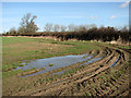 Muddy corner in field