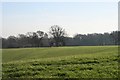 Trimley St Mary, Farmland from Candlet bridleway