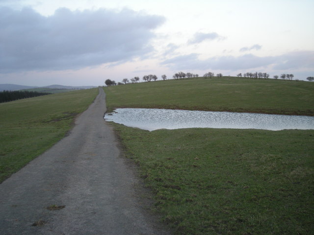 Pond beside the lane cross Edenhope Hill