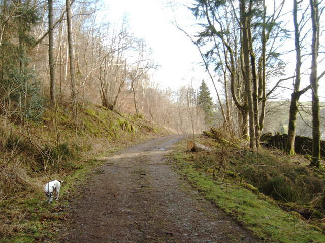 Forest Road, Tynron