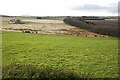 Muiryhill from Hill of Ryland