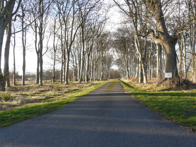 Private road to Allan House
