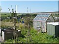 Community Allotment, Rhymney