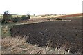 Ploughed Field