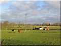 Old and New barns