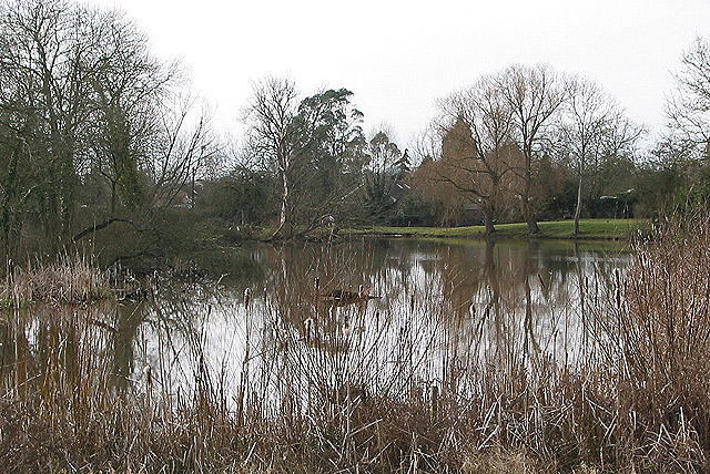 Pond at Pendock