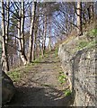 Footpath - Wakefield Road