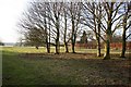 Pasture off Langton Lane