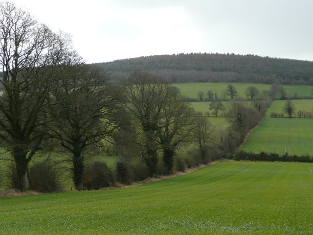 Arable fields and woods