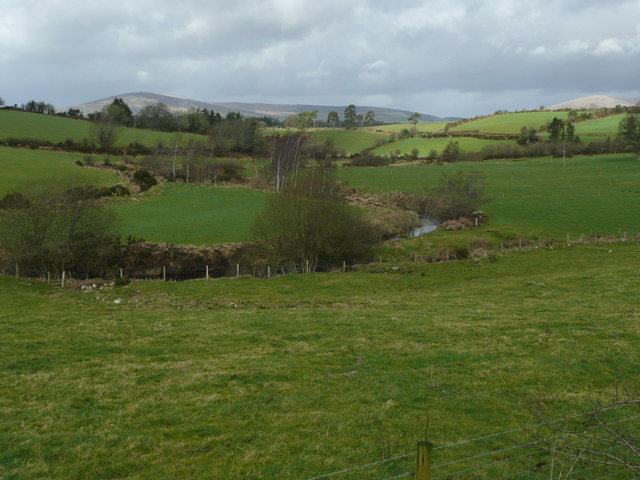 The pastures of the Derreen