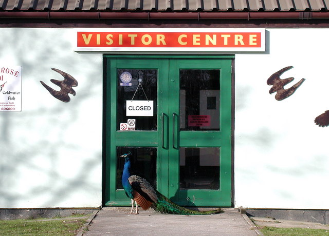 Park Rose Owl Sanctuary, Carnaby